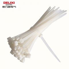德力西电气 CDS自锁式尼龙扎带 8×500 白色 优质型 （250条）