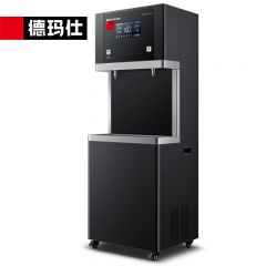 德玛仕（DEMASHI） SRZ-20/SRZ-2L-L10直饮水机商用学校烧水机学校用开水器商用净水器（一开一冰）