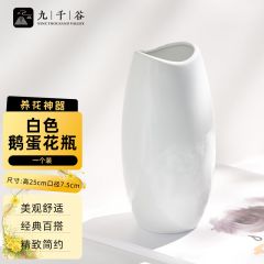 九千谷 花瓶陶瓷 大号绿植花卉北欧ins风插花器客厅桌面摆件 白色4633