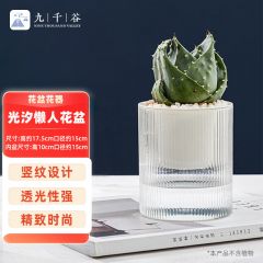 九千谷 花盆自动吸水 懒人可储水花盆室内阳台透明塑料大号口径15cm4336
