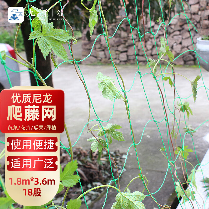 九千谷  J0222  植物爬藤网豆角蔬菜瓜类尼龙网支架网园艺 1.8m*3.6m18股