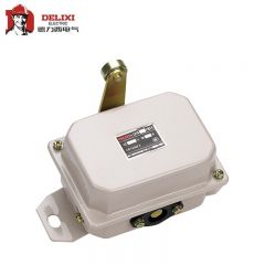 德力西电气（DELIXI ELECTRIC） 行程开关 LX10-32 带重锤 2米钢丝绳