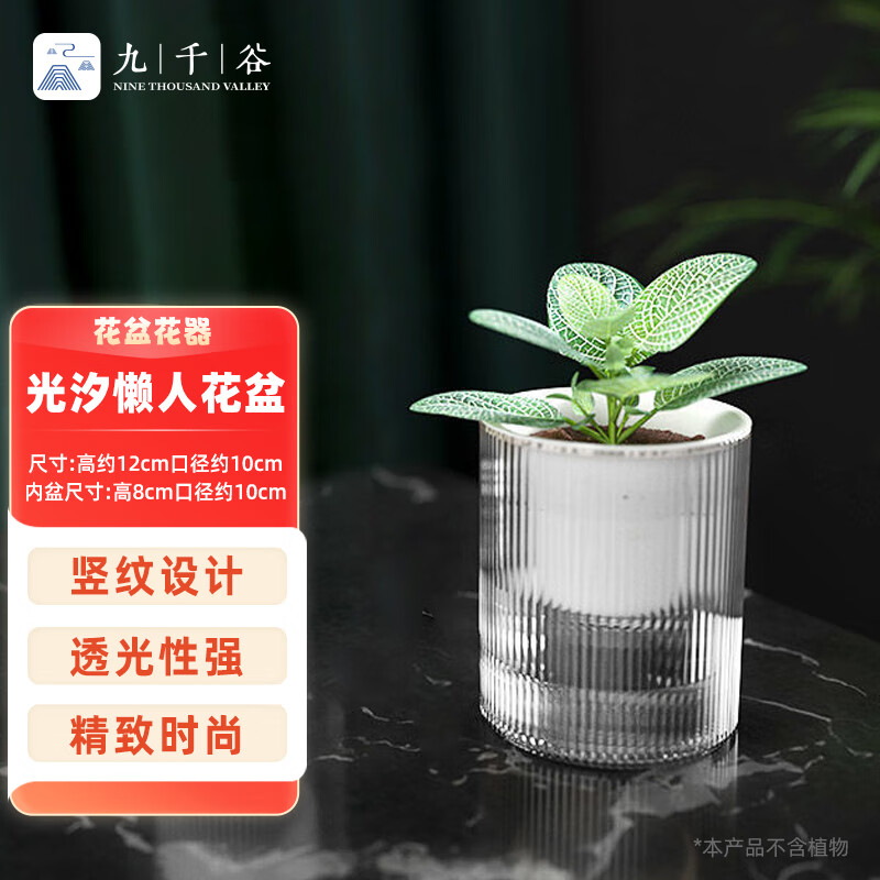 九千谷 花盆自动吸水 懒人可储水花盆室内阳台透明塑料小号口径10cm 4329