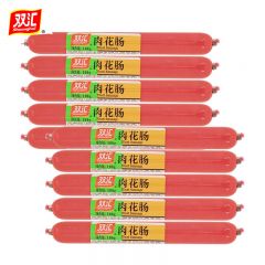 双汇  肉花肠100g*10支 肉花肠肉类火腿肠零食泡面拍档