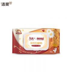洁柔 湿厕纸马应龙联名清洁湿巾温和除菌99%舒适如厕专用清凉舒爽药味 1包40片