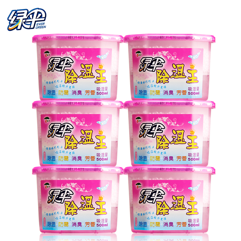 绿伞  除湿盒500ml*6盒干燥剂防潮防霉剂除湿剂衣柜室内房间汽车吸湿盒