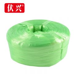 伏兴  FX869大卷塑料捆扎绳打包绳 2.5kg（2000米）绿色/卷