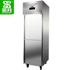 圣托（Shentop） 双门冷冻高身雪柜 酒店饭店厨房冷柜 双门不锈钢食物肉类保鲜柜 DHB11