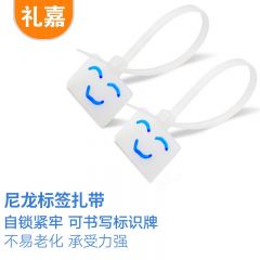 礼嘉（LIJIA） LJ-ZD05 自锁式尼龙扎带标牌记号扎带 标识理线带 100条/包