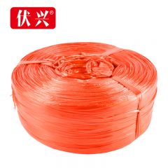 伏兴 大卷捆扎绳塑料绳子 尼龙打包绳包装绳 撕裂绳草球绳扎口绳 5斤（2000米）红色