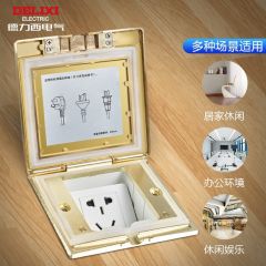 德力西(DELIXI)开关插座 金色五孔铜地插 翻盖式防水地板地插（含暗盒）