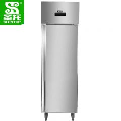圣托（Shentop） 单门冷冻直冷高身雪柜 餐厅食堂保鲜冰箱 商用立式厨房冰柜 DHB12