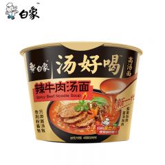 白象 汤好喝方便面整箱桶面速食面条泡面桶装整箱组合装辣牛肉汤面119g*12桶