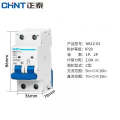 正泰（CHNT）NB1Z-63-2P-C10-AC400V-DC220V-R 直流断路器 空气开关 C10 2P
