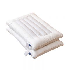 恩和巴图 荞麦两用枕48*74 EHHP-005 个